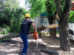 Устранение последствий сильного ветра город Краснодар